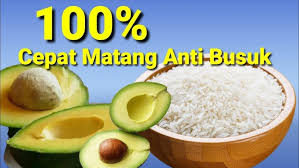 Trik Mematangkan Buah Dengan Cepat Menggunakan Beras